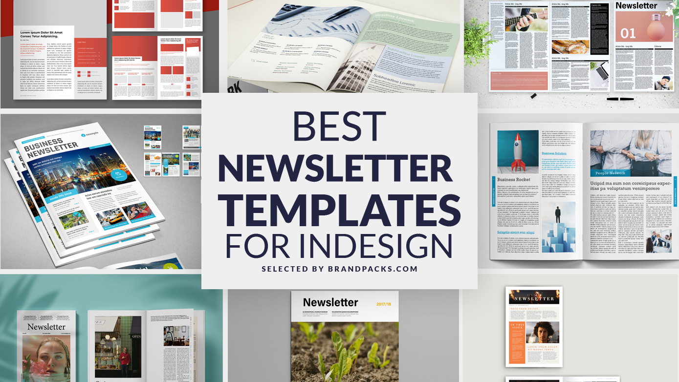 40 Best Newsletter Templates for InDesign
