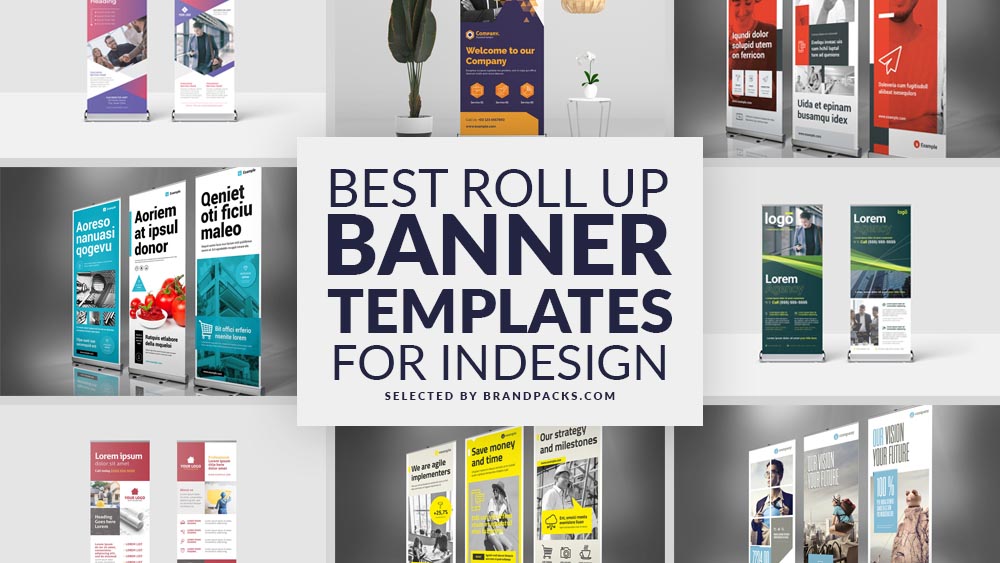 20 Best Roll Up Banner Templates for Adobe InDesign
