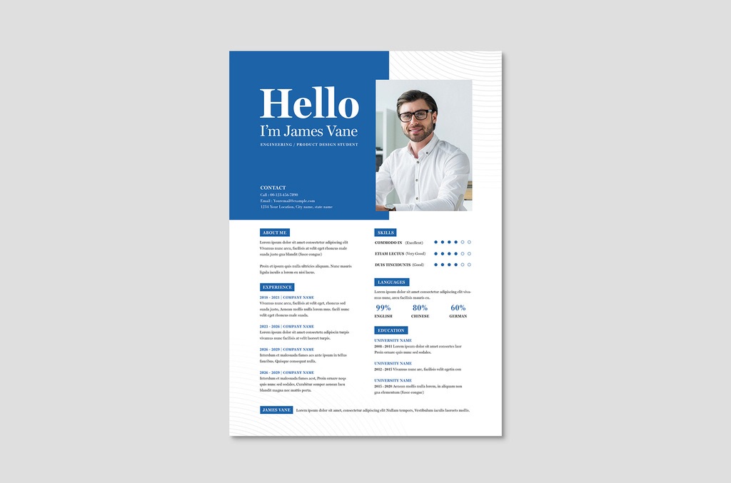 Professional CV Resume Layout in AI format