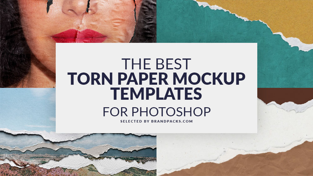 20+ Best Torn Paper Mockup Templates for Photoshop