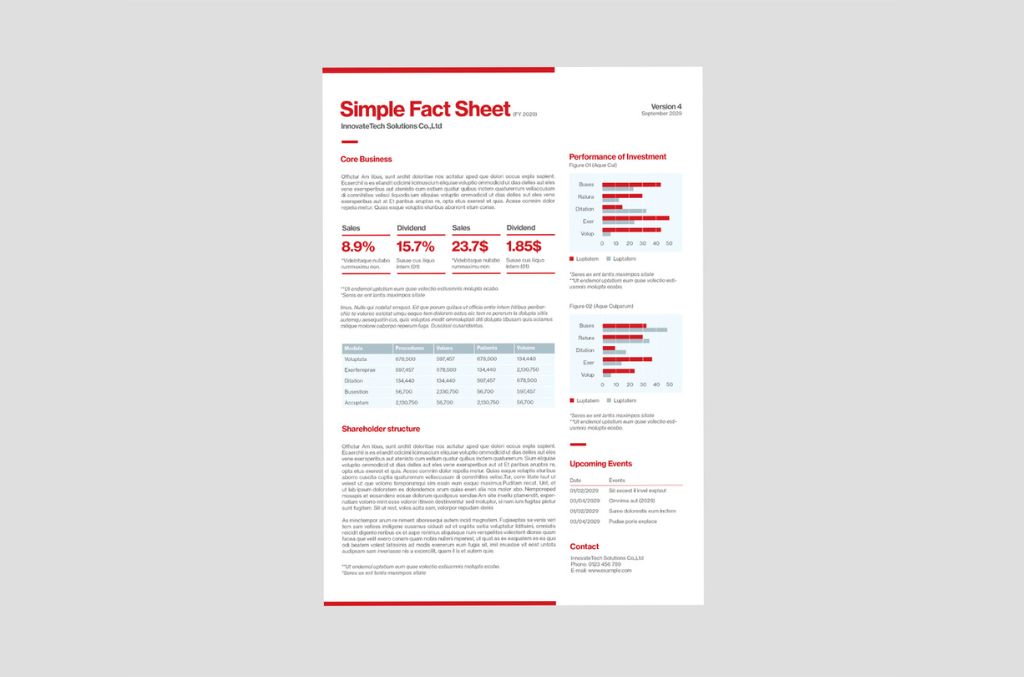Simple Fact Sheet Layout for InDesign INDD format