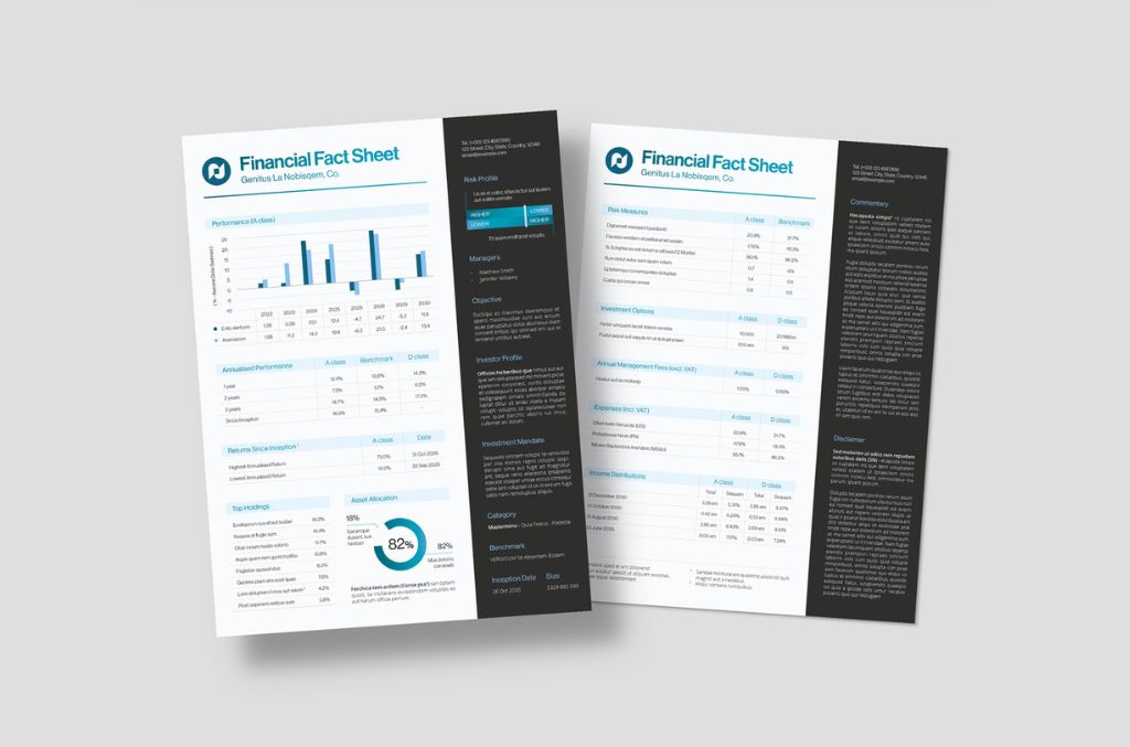 Finance Fact Sheet Layout for InDesign INDD format