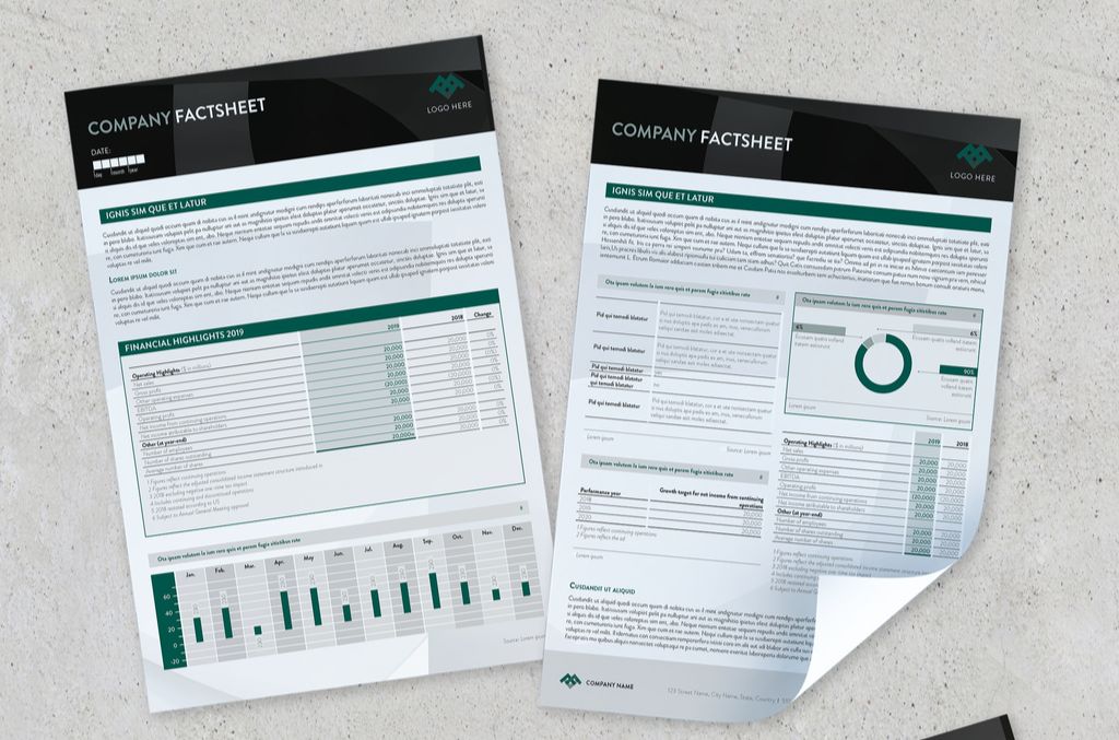 Black and Green Company Factsheet for InDesign INDD format