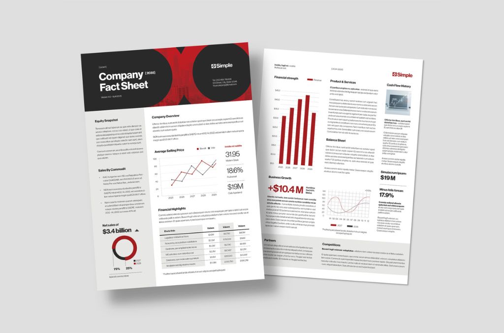 Company Fact Sheet Layout for InDesign INDD format