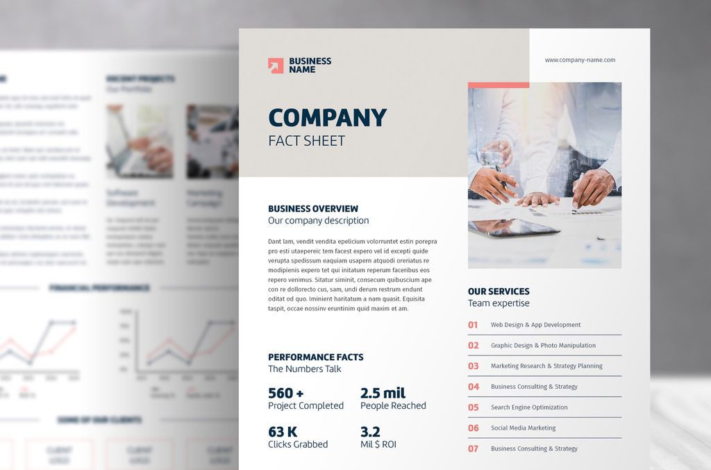 Business Company Data Sheet Template for InDesign INDD format