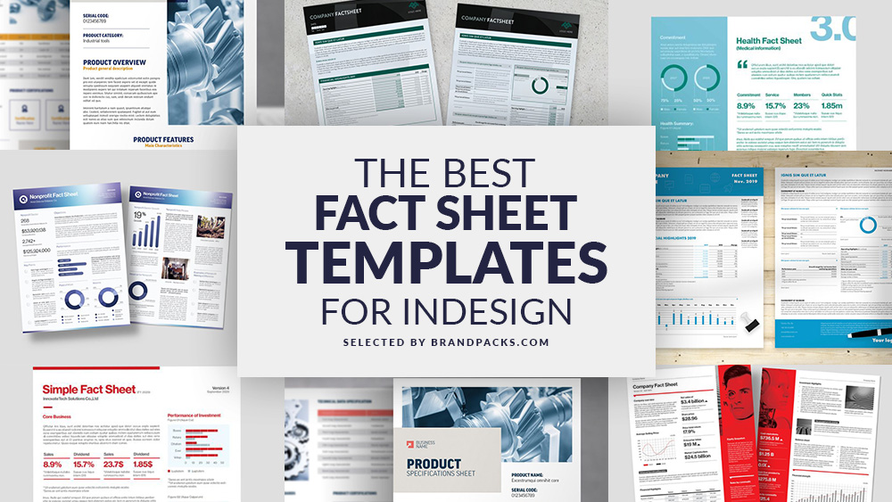 17 InDesign Fact Sheet Templates