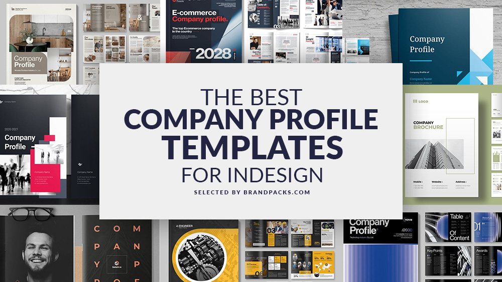 17 of The Best Company Profile Templates for InDesign