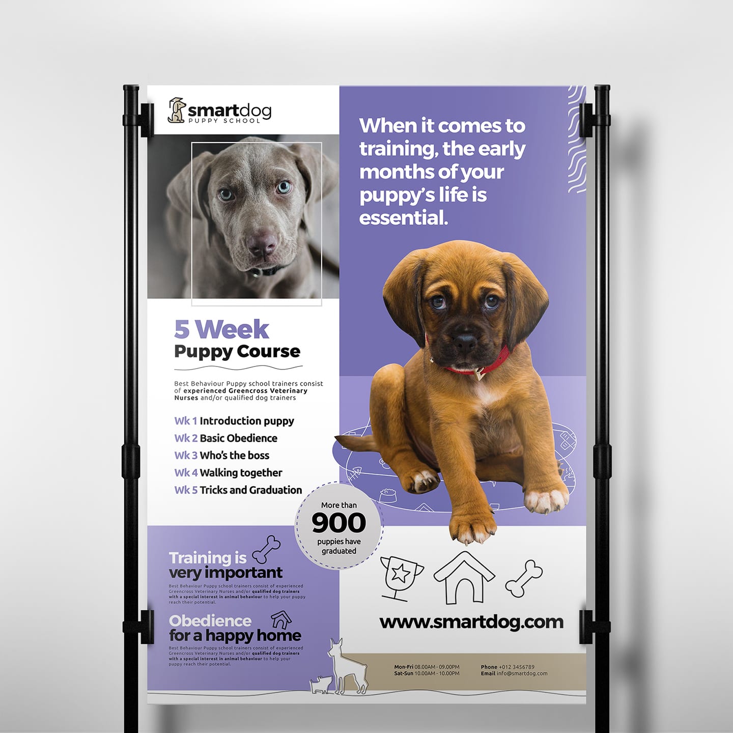 A3 Puppy School Poster Template