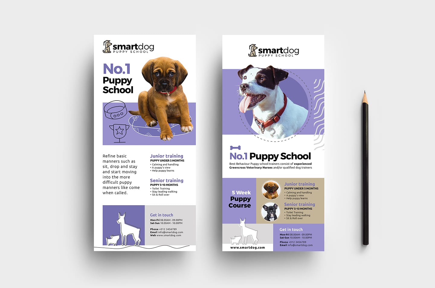 Puppy School DL Rack Card Template