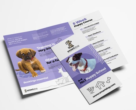 Puppy School Tri-Fold Brochure Template