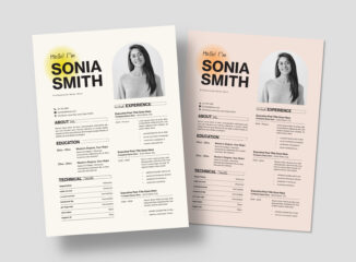 Resume Template (INDD, EPS, AI, PSD Format)