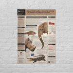 Scientific Case Study Poster Template for InDesign