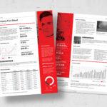 Fact Sheet Template for InDesign