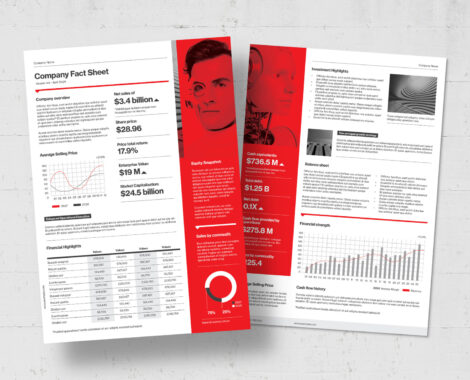 Fact Sheet Template for InDesign