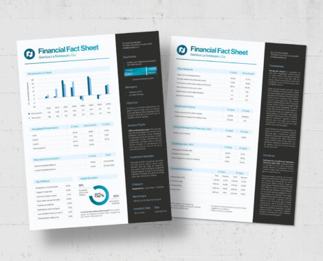 Finance Fact Sheet Template for InDesign INDD