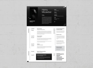 Resume Template INDD format