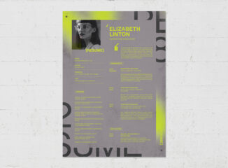 Bold Resume Template in InDesign format