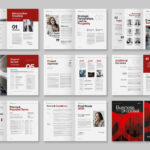 Business Proposal Template in INDD format