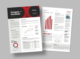 Company Fact Sheet Template in INDD format