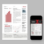 Company Fact Sheet Template in INDD format