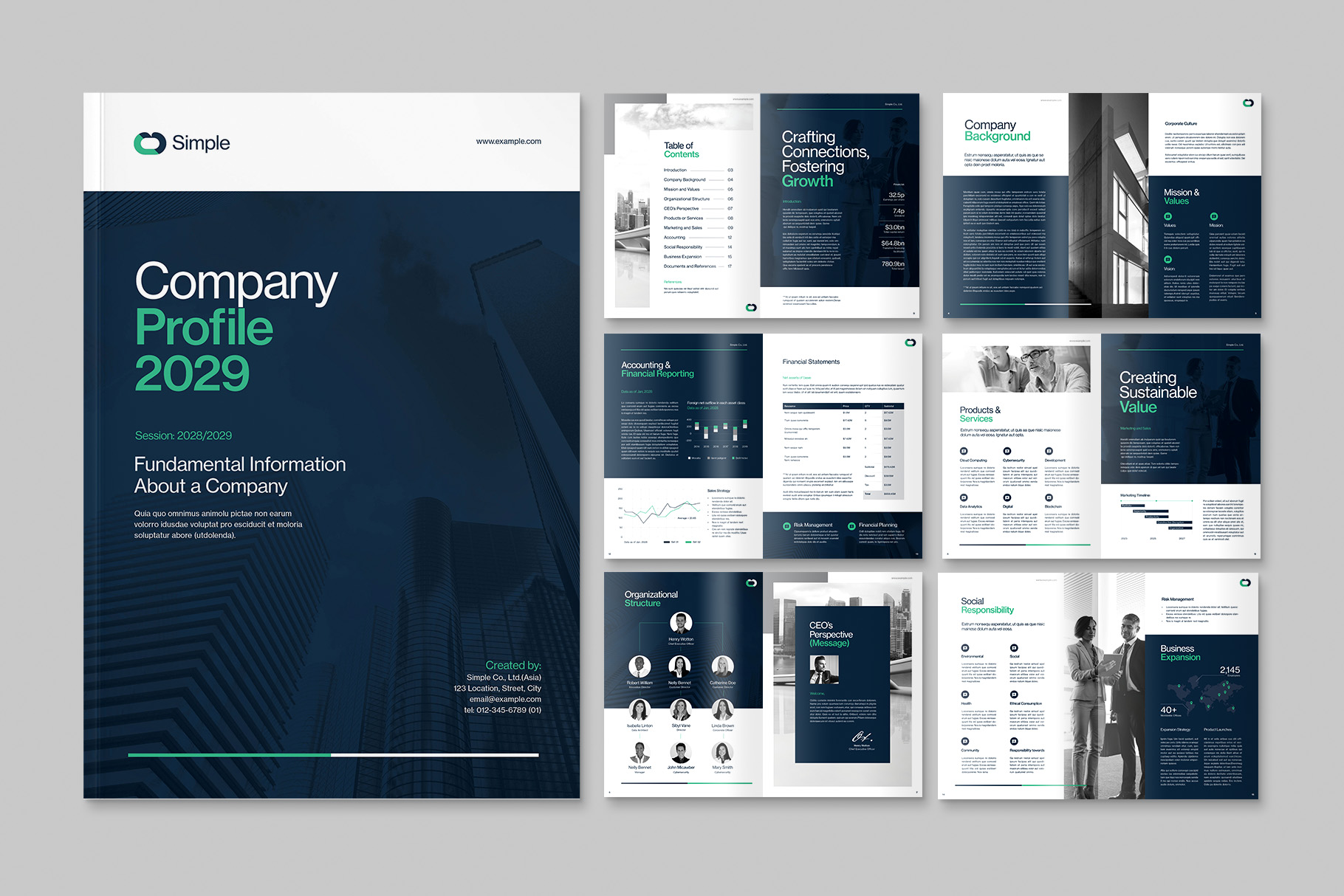 Company Profile Template in INDD format