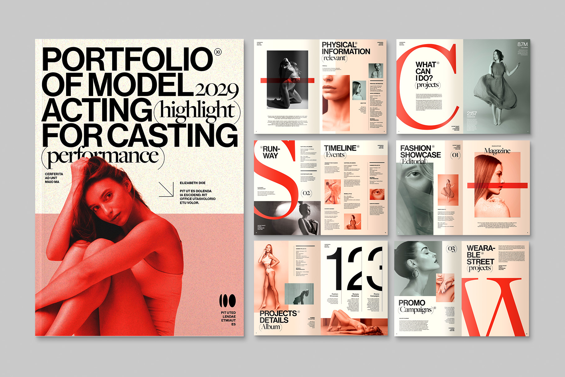 Modern Portfolio Magazine Layout in InDesign Format