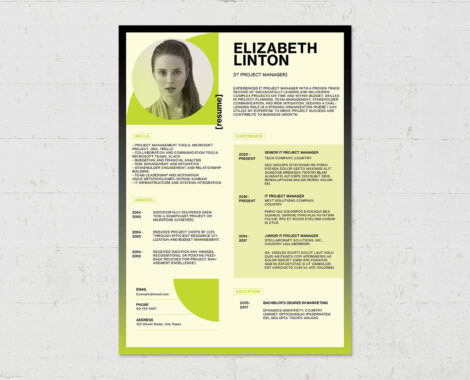 Resume Template for INDD format
