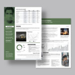 Simple Fact Sheet Template in INDD format